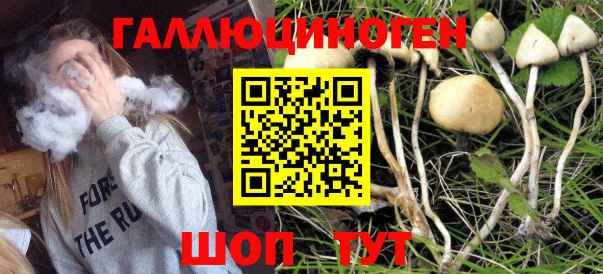 Галлюциногенные грибы прущие грибы Верхний Уфалей